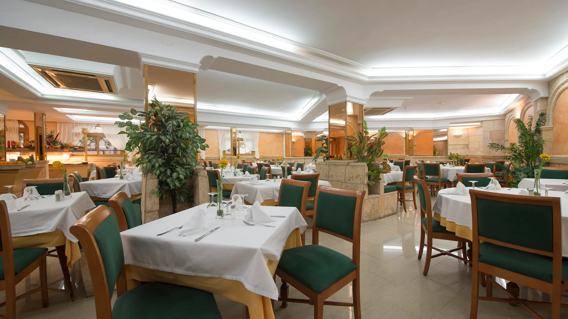 Hotel Venecia Paguera