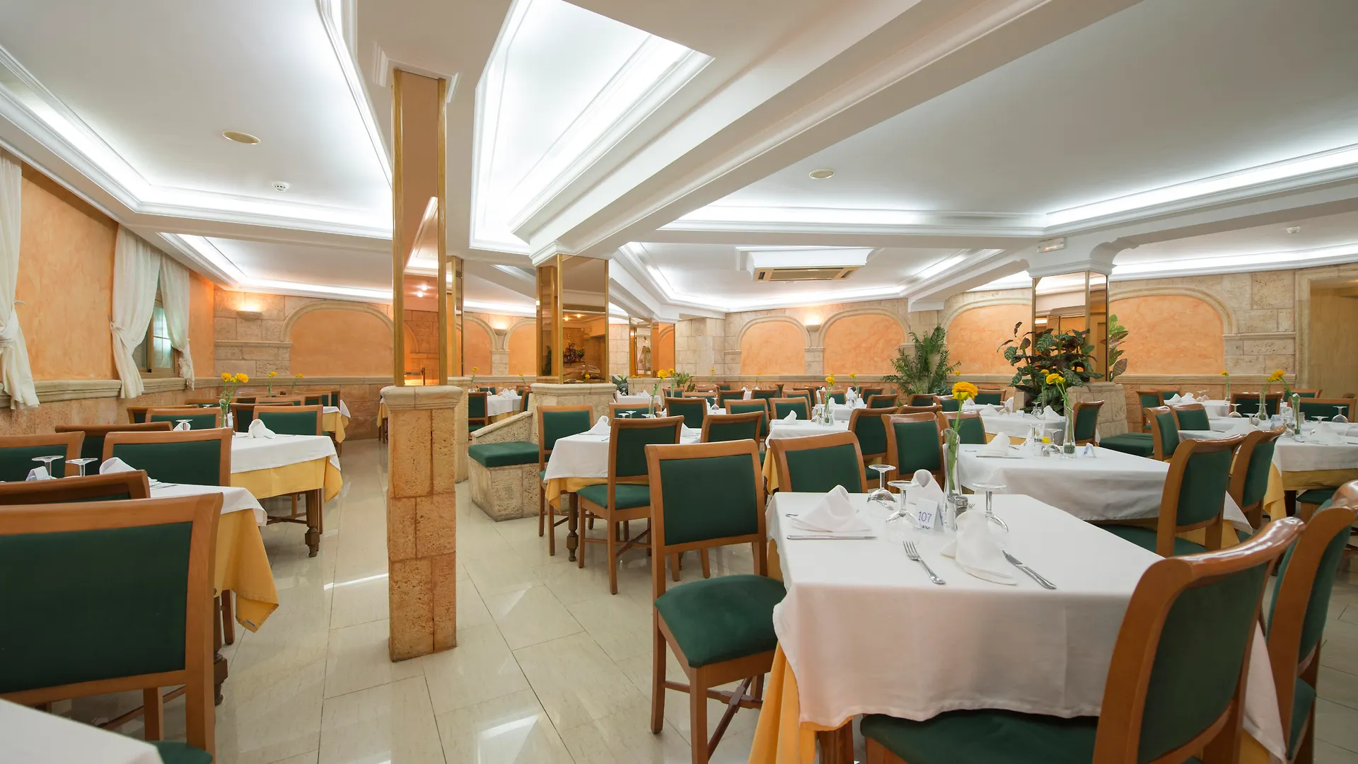 Hotel Venecia Paguera